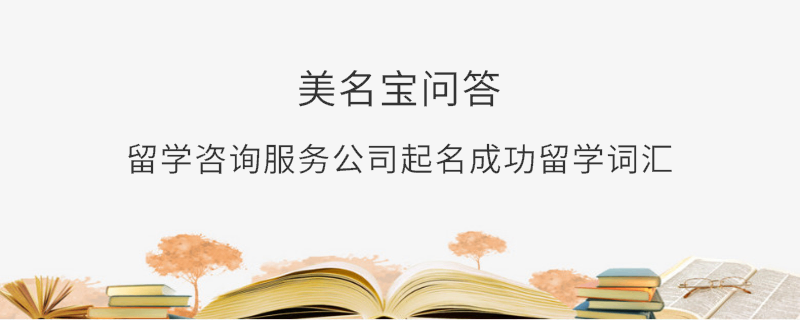 留學(xué)咨詢服務(wù)公司起名成功留學(xué)詞匯