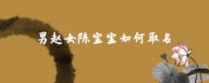 男趙女陳寶寶如何取名