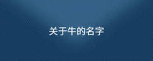 關于牛的名字