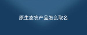 公司1.png