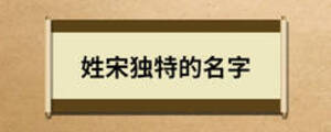 姓宋獨特的名字