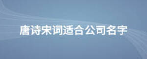 唐詩宋詞適合公司名字