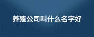養(yǎng)殖公司叫什么名字好