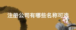 注冊(cè)公司有哪些名稱可選