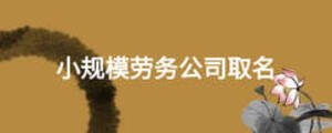 小規(guī)模勞務(wù)公司取名