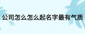 公司怎么怎么起名字最有氣質