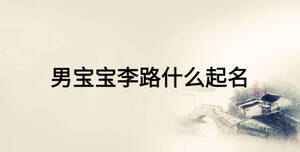 男寶寶李路什么起名