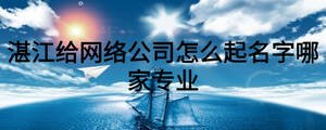 湛江給網絡公司怎么起名字哪家專業