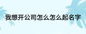 我想開(kāi)公司怎么怎么起名字