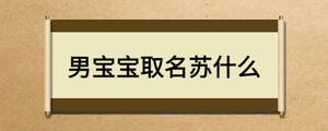 男寶寶取名蘇什么