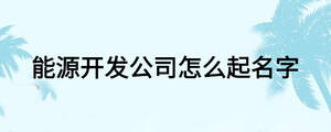 能源開發(fā)公司怎么起名字
