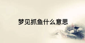 夢(mèng)見(jiàn)抓魚(yú)什么意思