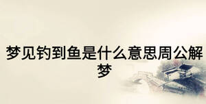 夢(mèng)見釣到魚是什么意思周公解夢(mèng)