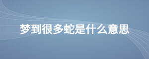 夢到很多蛇是什么意思