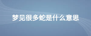 夢見很多蛇是什么意思
