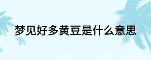夢(mèng)見(jiàn)好多黃豆是什么意思