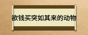 欲錢買突如其來(lái)的動(dòng)物