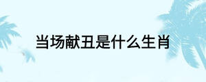 當(dāng)場獻丑是什么生肖