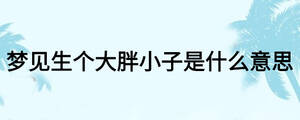 夢(mèng)見(jiàn)生個(gè)大胖小子是什么意思