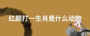 紅顏打一生肖是什么動(dòng)物