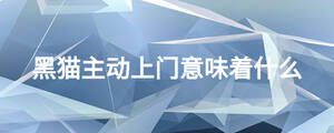 黑貓主動上門意味著什么