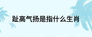 趾高氣揚是指什么生肖