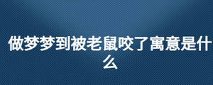 做夢(mèng)夢(mèng)到被老鼠咬了寓意是什么