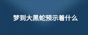 夢到大黑蛇預(yù)示著什么