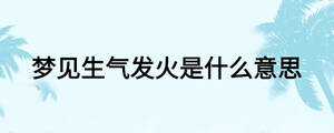 夢見生氣發火是什么意思