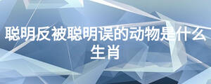 聰明反被聰明誤的動(dòng)物是什么生肖