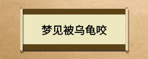 夢見被烏龜咬