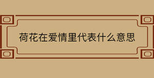 自創 - 2022-11-15T143637.993.jpg