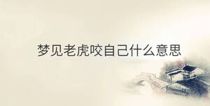 傳統(tǒng) - 2022-12-06T100546.951.jpg