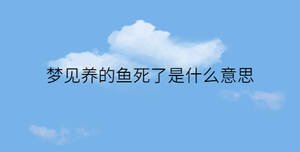 簡約藍(lán)色背景 - 2022-12-14T140948.426.jpg