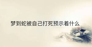 傳統(tǒng) - 2023-03-31T144903.813.jpg