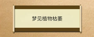 問(wèn)答 - 2023-07-21T114929.539.jpg