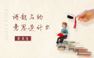 詩(shī)起名的意思是什么