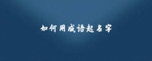 如何用成語(yǔ)起名字