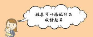 姓李可以搭配什么成語起名