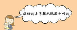 成語起名男孩雙胞胎如何起