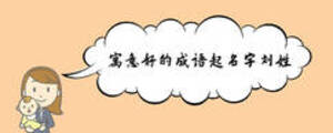 寓意好的成語起名字劉姓