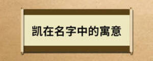 凱在名字中的寓意