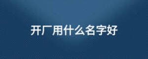 開廠用什么名字好