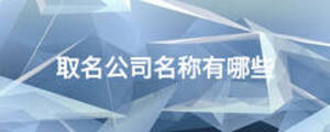 取名公司名稱有哪些
