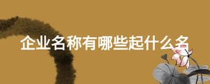 企業(yè)名稱有哪些起什么名