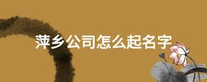 萍鄉(xiāng)公司怎么起名字