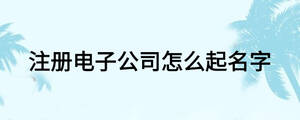 注冊電子公司怎么起名字