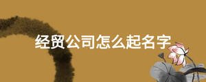 經貿公司怎么起名字