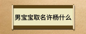 男寶寶取名許楊什么