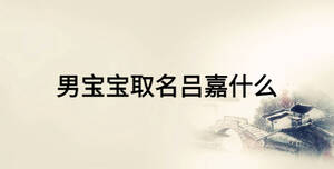 男寶寶取名呂嘉什么